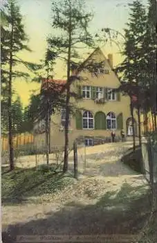 08529 Reusa, Reusaer Waldhaus, Naturfreunde Plauen o 9.2.1916