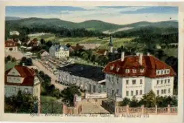 08548 Syrau Restaurant Höhlenheim *ca. 1920
