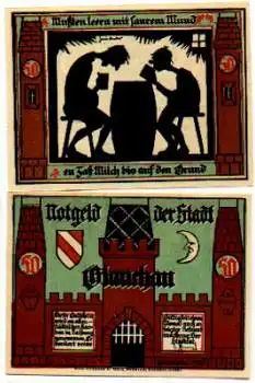 08371 Glauchau Städtenotgeld Wert 50 Pfennige Eule 1921