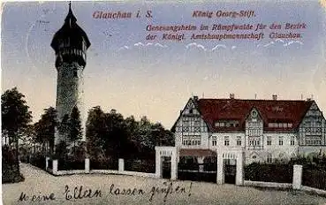 08371 Glauchau König Georg-Stift o 23.5.1925