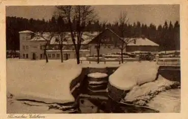 08349 Erlabrunn, Täumerhaus * ca. 1920
