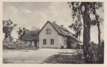 08491 Netzschkau Kuhbergbaude * ca. 1955