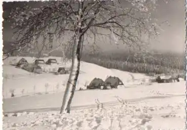 08355 Tellerhäuser Winter o 26.3.1963