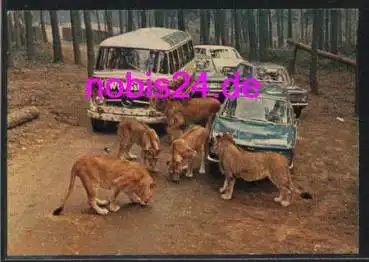 52538 Tüddern Auto Safaripark  ca.1975