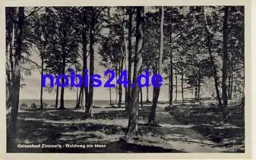 17454 Zinnowitz Waldweg am Meer o ca.1956