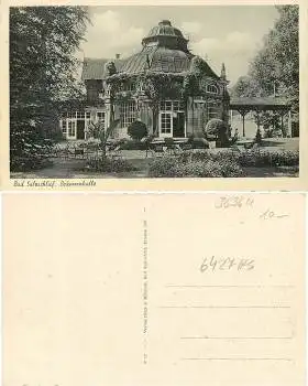 36364 Bad Salzschlirf Brunnenhalle *ca.1930