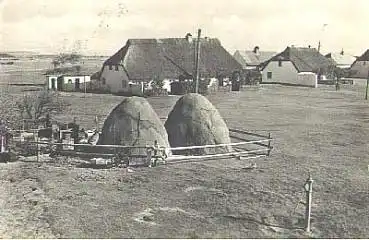 18565 Neunedorf Insel Hiddensee o 19.9.1963