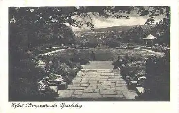 Erfurt Steingarten der Cyriaksburg * ca. 1930