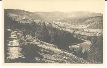 79868  Bärental im Schwarzwald * ca.1930