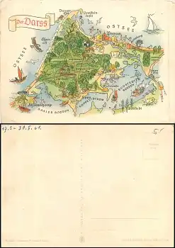 Alfred Hoppe 8004 Der Darss Künstlerkarte 1965