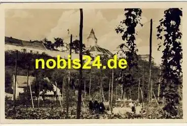 Hopfenernte - cesani chmele o 29.8.1957