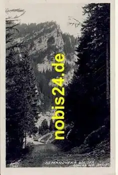 Demanovska bolina *ca.1930