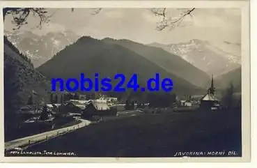 Javorina Horni Dil  *ca.1927