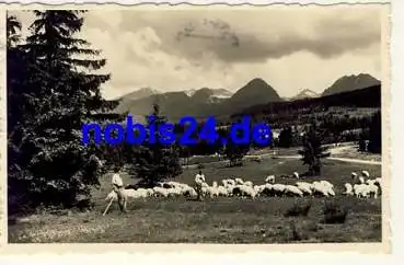 Vysoke tatry Krivan o ca.1940