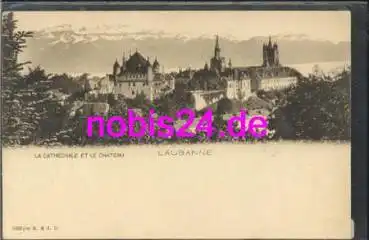 Lausanne La Cathedrale le Chateau *ca.1910
