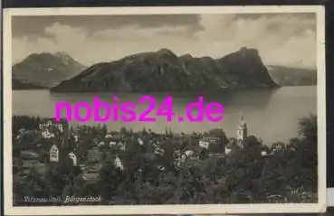 Vitznau mit Bürgenstock o 15.7.1931