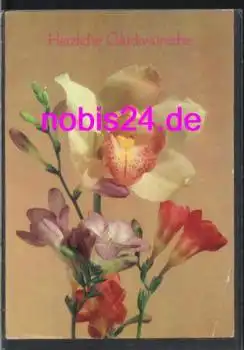 Orchideen Jugendweihe *ca.1986