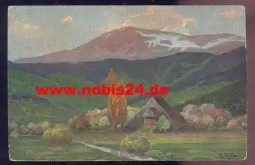 Frühling  im Schwarzwald, Künstlerkarte Fr. Reiss *ca. 1920