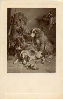 Dackel mit Jagdhund Künstlerkarte C. Reichert *ca. 1910