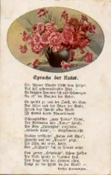 Nelken Künstlerkarte "Sprache der Natur" * ca. 1910