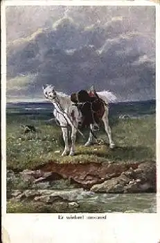 Pferd Künstlerkarte o 28.7.1916