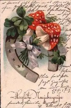 Pilze Fliegenpilz Hufeisen Kleeblatt gebr. 29.12.1933