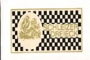 Rennwagen Motorrad Schleizer Dreieck Rennen Schiebebild Abziehbild Nr. 13573