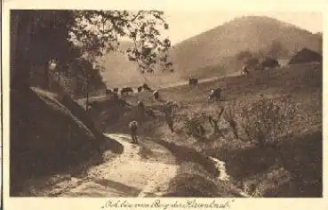 Kühe mit Hirte * ca. 1920