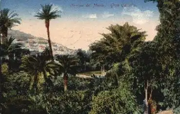 Tenerife Camino del Monte Machado Santa Cruz de Tenerife o 22.1.1923