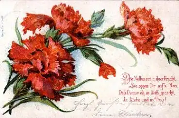 Blumen, Nelken, Spruch, o 21.3.1905