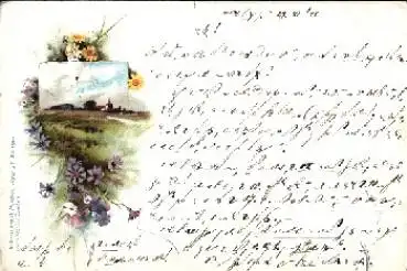 Sommerblumen Landschaft o 30.8.1899