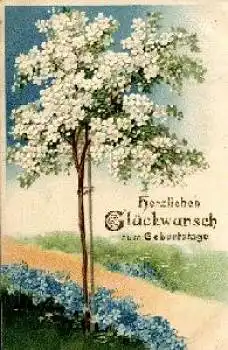 Kirschbaum blühend mit Vergißmeinnicht Prägekarte Erika 2969 o 20.10.1907