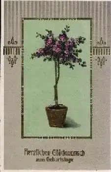 Blumenstock Goldschnittkarte o 26.2.1915