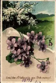 Veilchen Blumenkarte * ca. 1920
