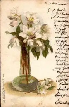 Apfelblüten in Vase o 19.10.1900