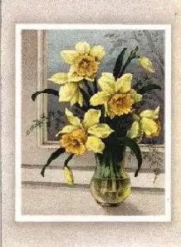 Narzissen Osterglocke in Vase o 31.1.1944