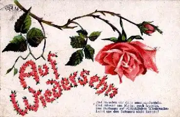 Rose "Auf Wiedersehen" o 22.3.1913