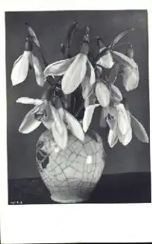 Schneeglöckchen in Vase, gebr. ca. 1930