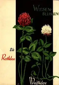 Wiesenblumen 26 Rotklee Weißklee Spendenkarte Jugendherbergsgroschen * ca. 1950