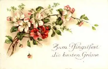 Kirschblüten Pfingsten * ca. 1930