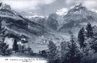 Engelberg Rigitalstöcke * ca. 1910