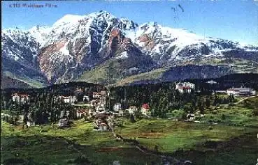 Flims Waldhaus Schweiz * ca. 1910