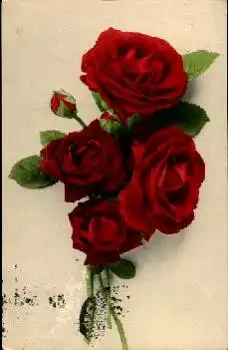 Strauß mit dunkelroten Rosen o 3.6.1913