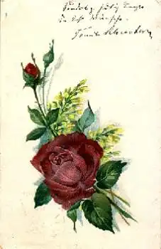 Rose mit 2 Rosenknospen o 5.12.1901
