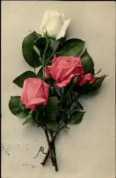 Rosenstrauß mit weißer und rosafarbenen Rosen o 24.12.1912