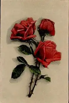 rote Rosen gebr. 2.4.1918