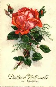 rote Rosenblüte Geburtstagskarte o 2.2.1929