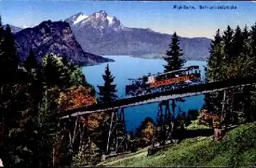 Rigi-Bahn Schnurtoloberbrücke * ca. 1910