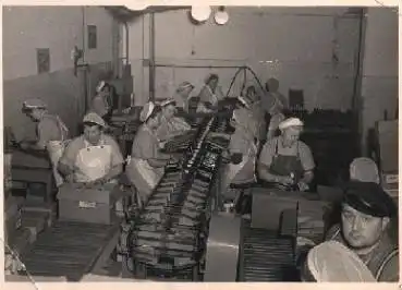 Industrie Verpacken von Weinbrand Flaschen Echtfoto  * ca. 1950