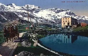 Bernina Hospiz mit Pferdekutsche  * ca. 1910